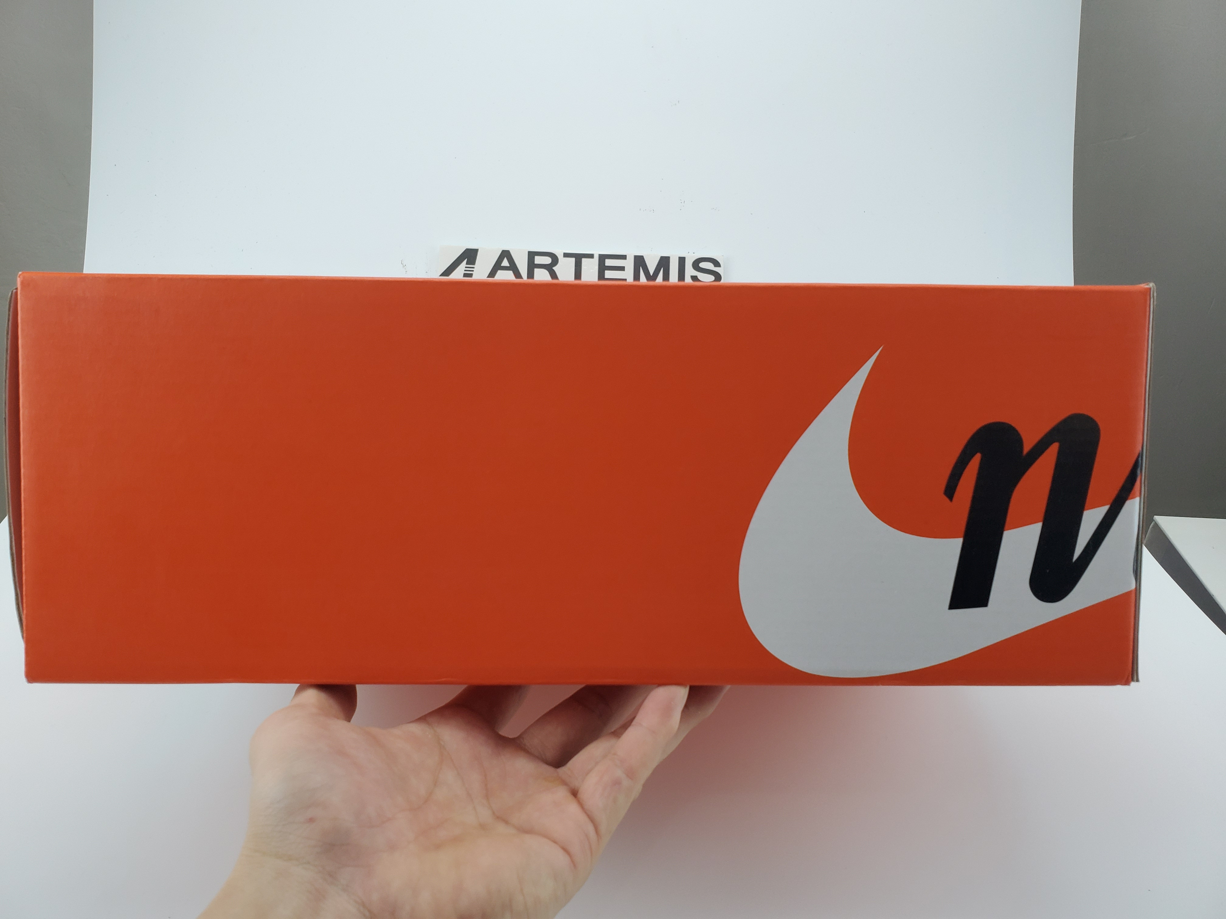 Nike Blazer High sacai Snow Beach