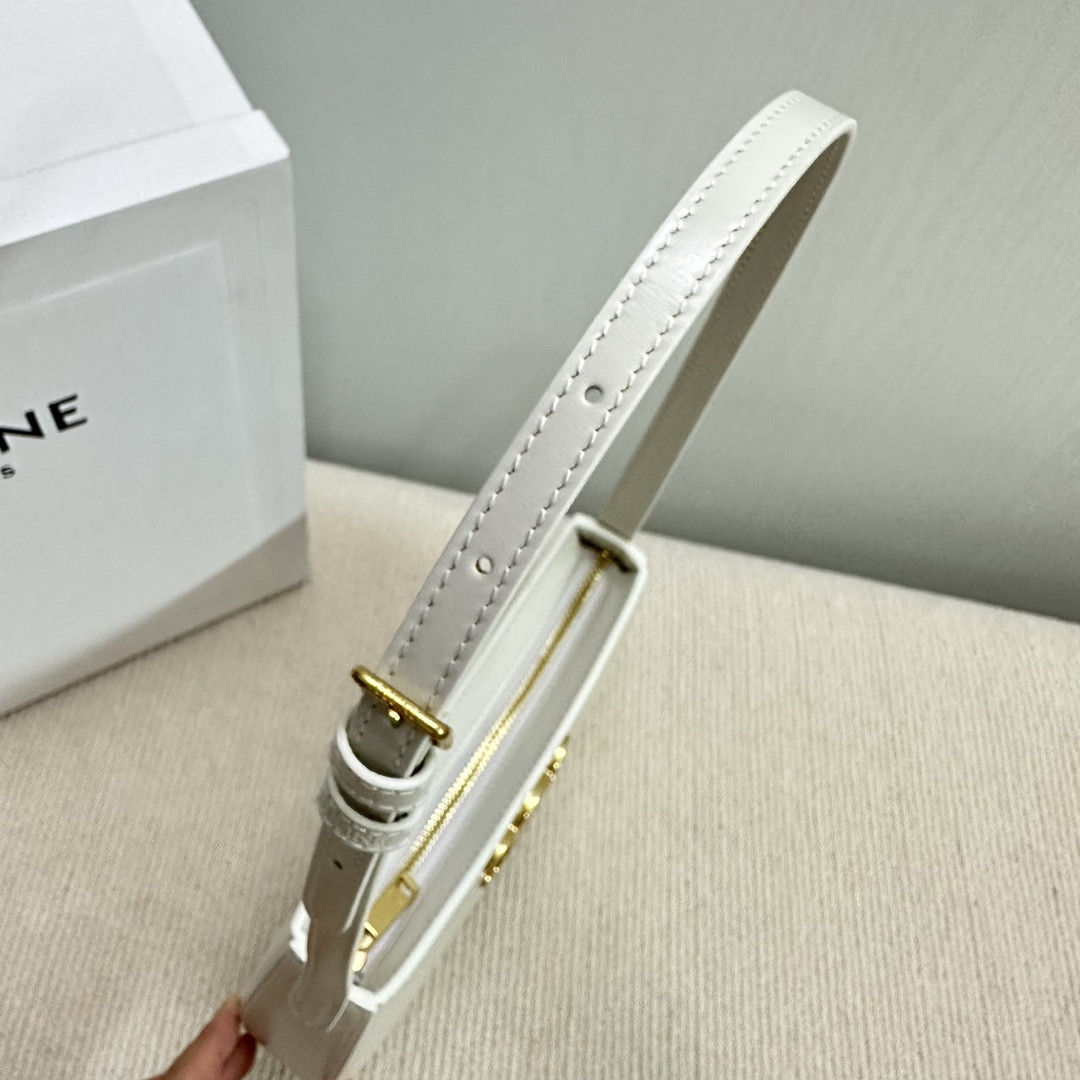 Ce**e medium tilly bag in shiny calfskin 22x13.5x4cm